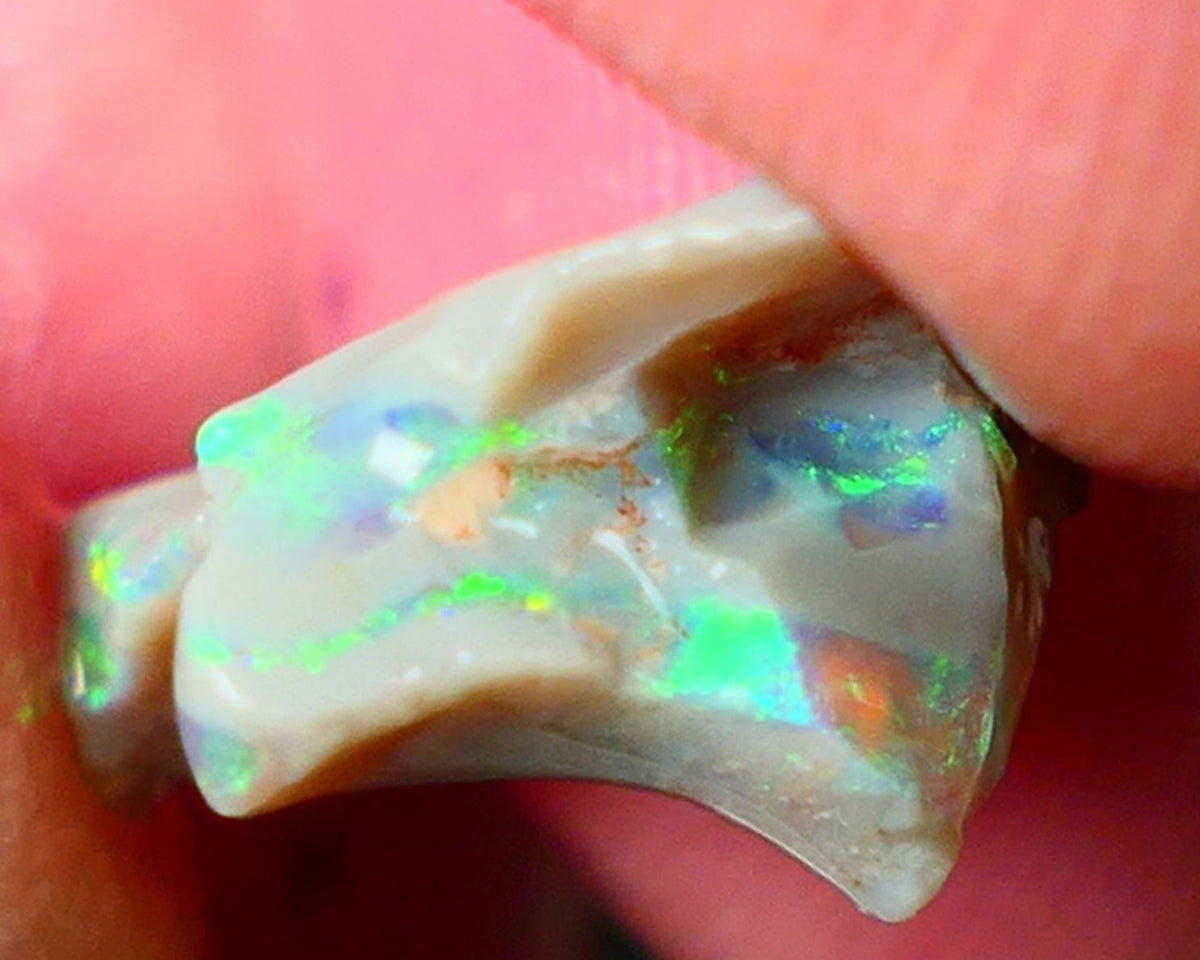 Lightning Ridge Gamble opal rough showing nice bright colours details to come cts ALP1xx