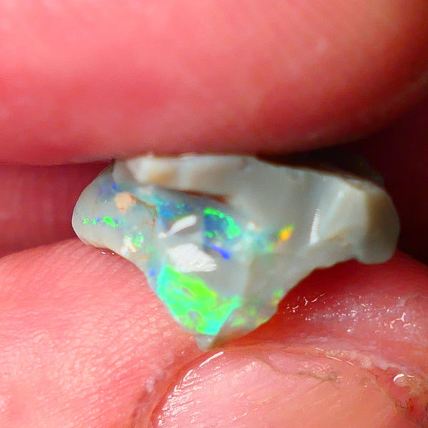 Lightning Ridge Gamble opal rough showing nice bright colours details to come cts ALP1xx