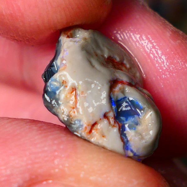 Lightning Ridge Gamble knobby opal rough 6.15cts showing nice bright Blue colours 17x12x6mm ALP145