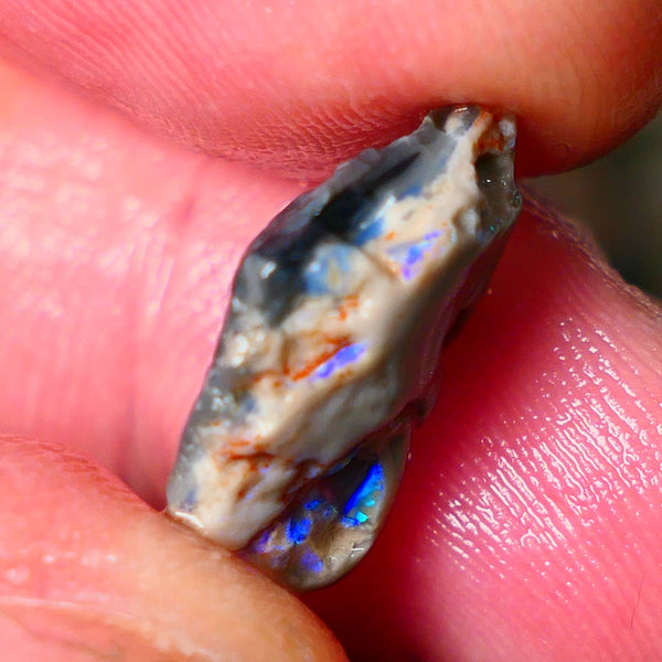 Lightning Ridge Gamble knobby opal rough 6.15cts showing nice bright Blue colours 17x12x6mm ALP145