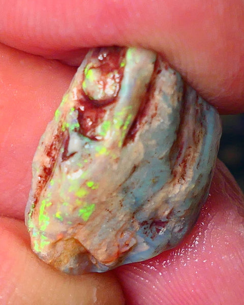 Lightning Ridge Gamble opal rough showing nice bright colours details to come cts ALP1xx