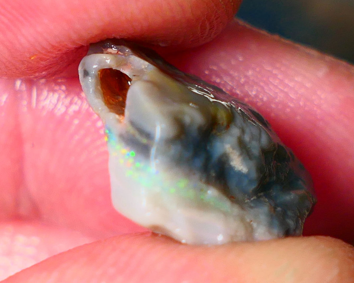 Lightning Ridge Rough Opal 6.25cts Gamble knobby dark base 18x14x3mm auction21