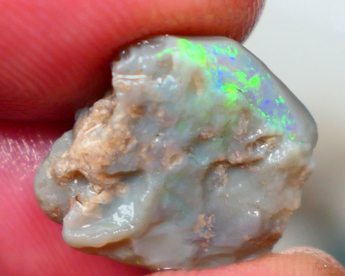 Lightning Ridge Grey base Seam opal 6.00cts Gamble showing Bright Multi Colours 14x14x4mm Auction39