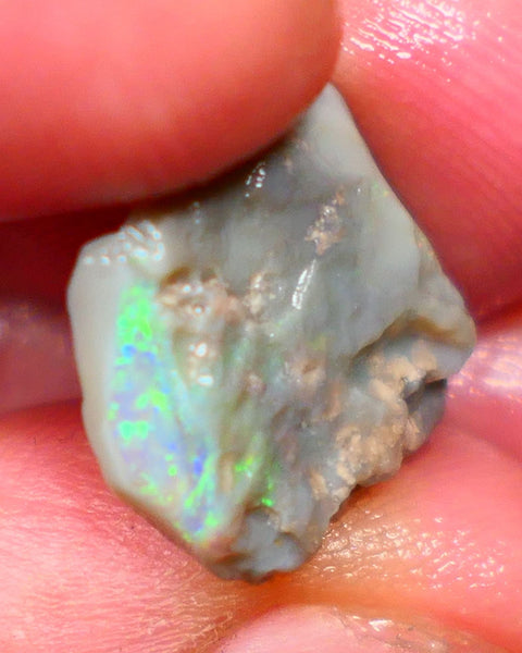 Lightning Ridge Grey base Seam opal 6.00cts Gamble showing Bright Multi Colours 14x14x4mm Auction39