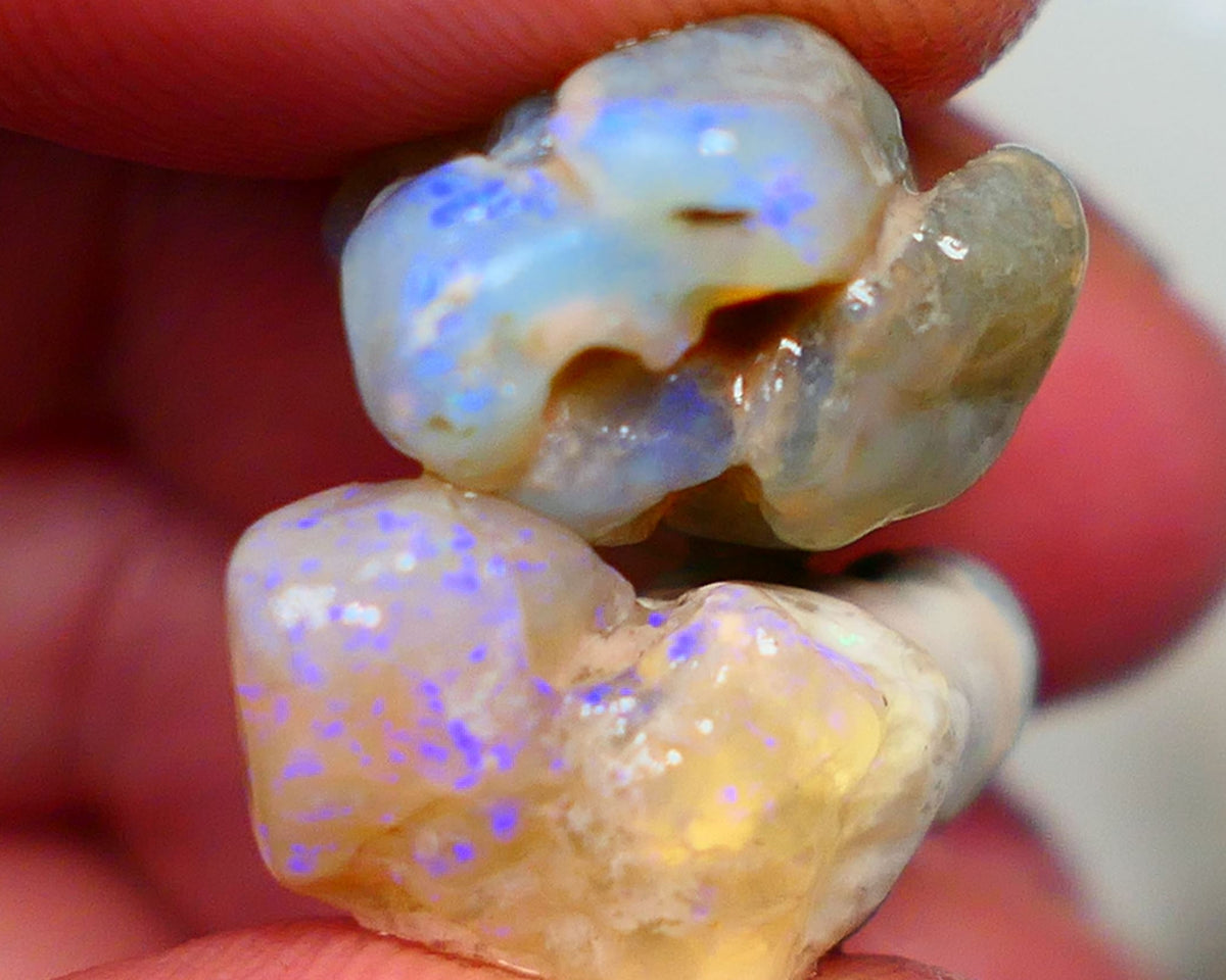 Lightning Ridge Crystal knobby Rough Opal pair 20.00cts  Nice blue fires 22x14x9mm & 20x10x9mm Auction41