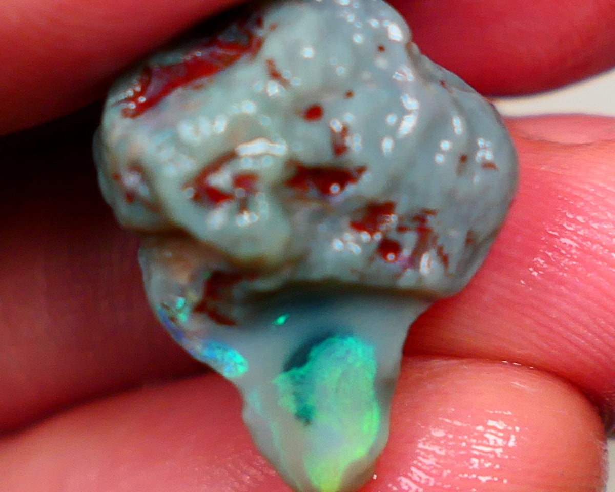 Lightning Ridge Rough Rub Knobby Dark Base 17.00cts Showing Very Bright Green Dominant Multicolours in the exposed area i21x17x13mm Auction57