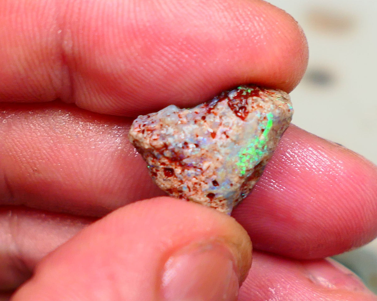 Lightning Ridge Rough Opal formation 9.50cts interesting exotic piece Green & Blue dominant multifires 18x14x7mm Auction56