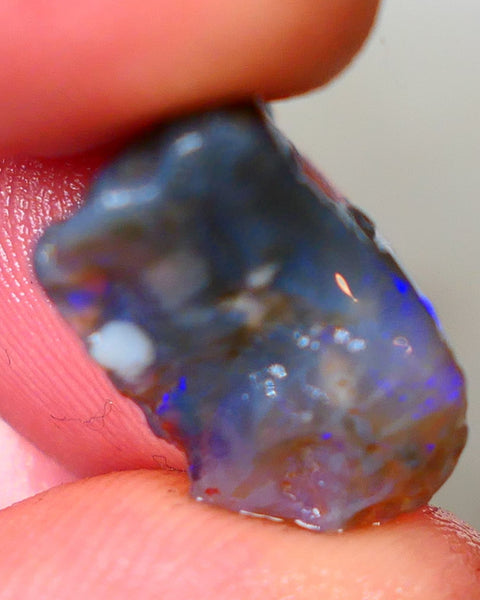 Bright & Colourful untouched knobby dark base 6.40cts L/Ridge Bright Vibrant Blues colours to cut 18x10x6mm Auciton47