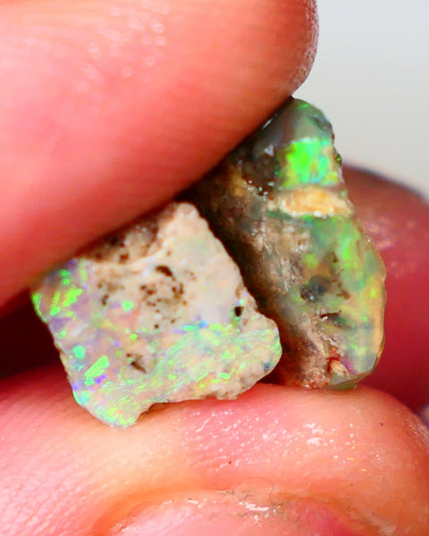 Pair of Exotic Opalised Wood fossils 9.75CTS rub/rough L/Ridge Bright Multi colours 14x12x6mm & 9x9x6mm Auction45