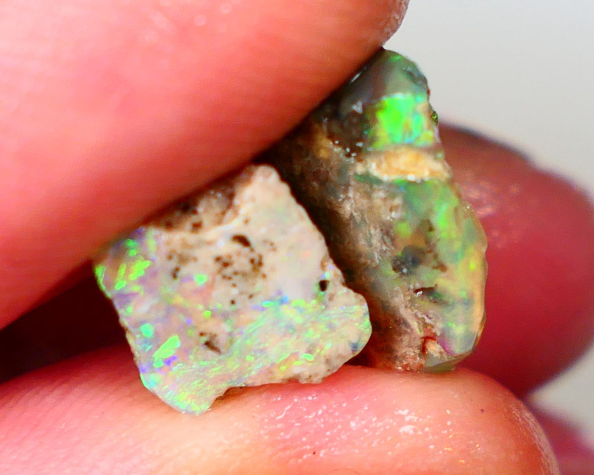 Pair of Exotic Opalised Wood fossils 9.75CTS rub/rough L/Ridge Bright Multi colours 14x12x6mm & 9x9x6mm Auction45