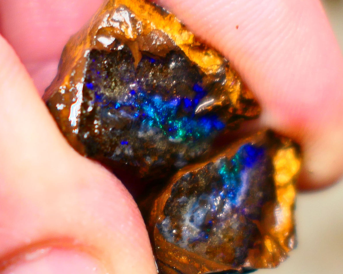 Winton Boulder opal rough split pair Ironstone host 33.00cts Stunning Gorgeous Blue fires 16x14x11mm & 21x12x11mm Auction67