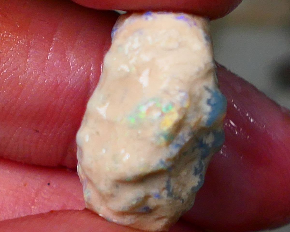 Lightning Ridge Rough Opal 19cts Crystal Gamble Knobby formation blue fires with flashes of yellows 22x15x13mm Auction82