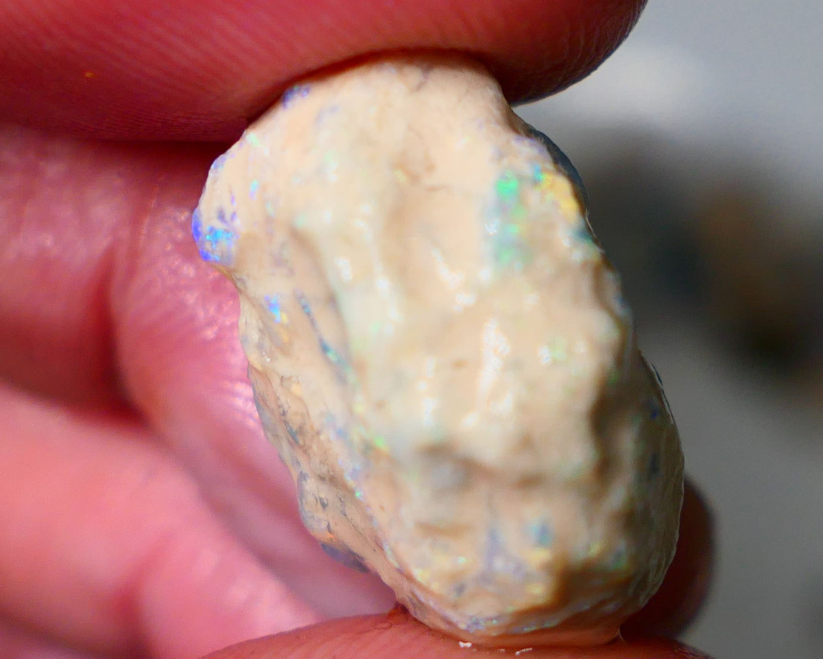 Lightning Ridge Rough Opal 19cts Crystal Gamble Knobby formation blue fires with flashes of yellows 22x15x13mm Auction82