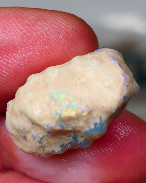 Lightning Ridge Rough Opal 19cts Crystal Gamble Knobby formation blue fires with flashes of yellows 22x15x13mm Auction82