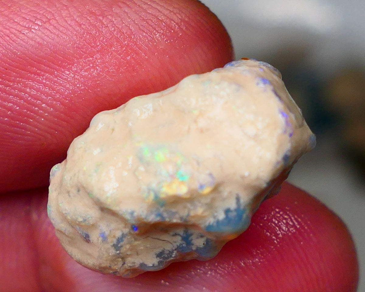 Lightning Ridge Rough Opal 19cts Crystal Gamble Knobby formation blue fires with flashes of yellows 22x15x13mm Auction82