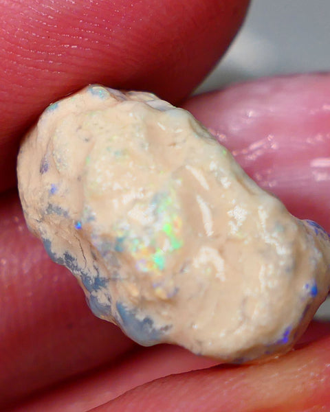 Lightning Ridge Rough Opal 19cts Crystal Gamble Knobby formation blue fires with flashes of yellows 22x15x13mm Auction82