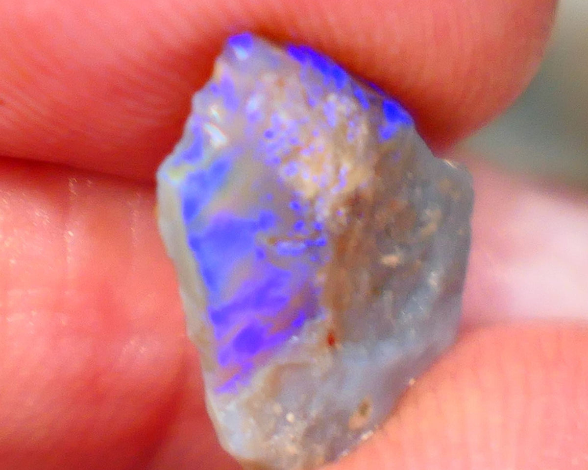 Lightning Ridge Rough rub Opal 3.15cts Dark Base blue dominant fires to cut and polish 15x13x3mm Auction81