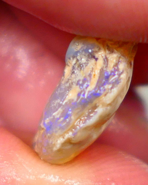 Lightning Ridge Rough Opal 11.25cts Dark Base Crystal Gamble Knobby blue dominant fires with flashes of yellows 18x14x7mm Auction80