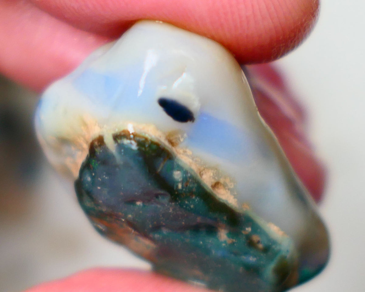 Lightning Ridge Large sized Dark Base Crystal Seam opal rough 49.00cts Showing Greens and Blues to chase & explore to gamble 30x25x13mm Auction92