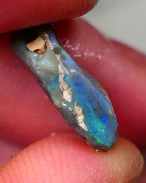 Lightning Ridge Rough Dark base knobby opal 4.50cts showing Greens & Blues in exposed side of bar with blue showing through the skin gamble to cut 16x10x5mm Auction90