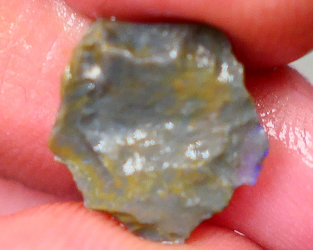 Lightning Ridge Rough knobby Opal 3.60cts Bight Blue colours to expose & explore 14x12x4mm Auction88