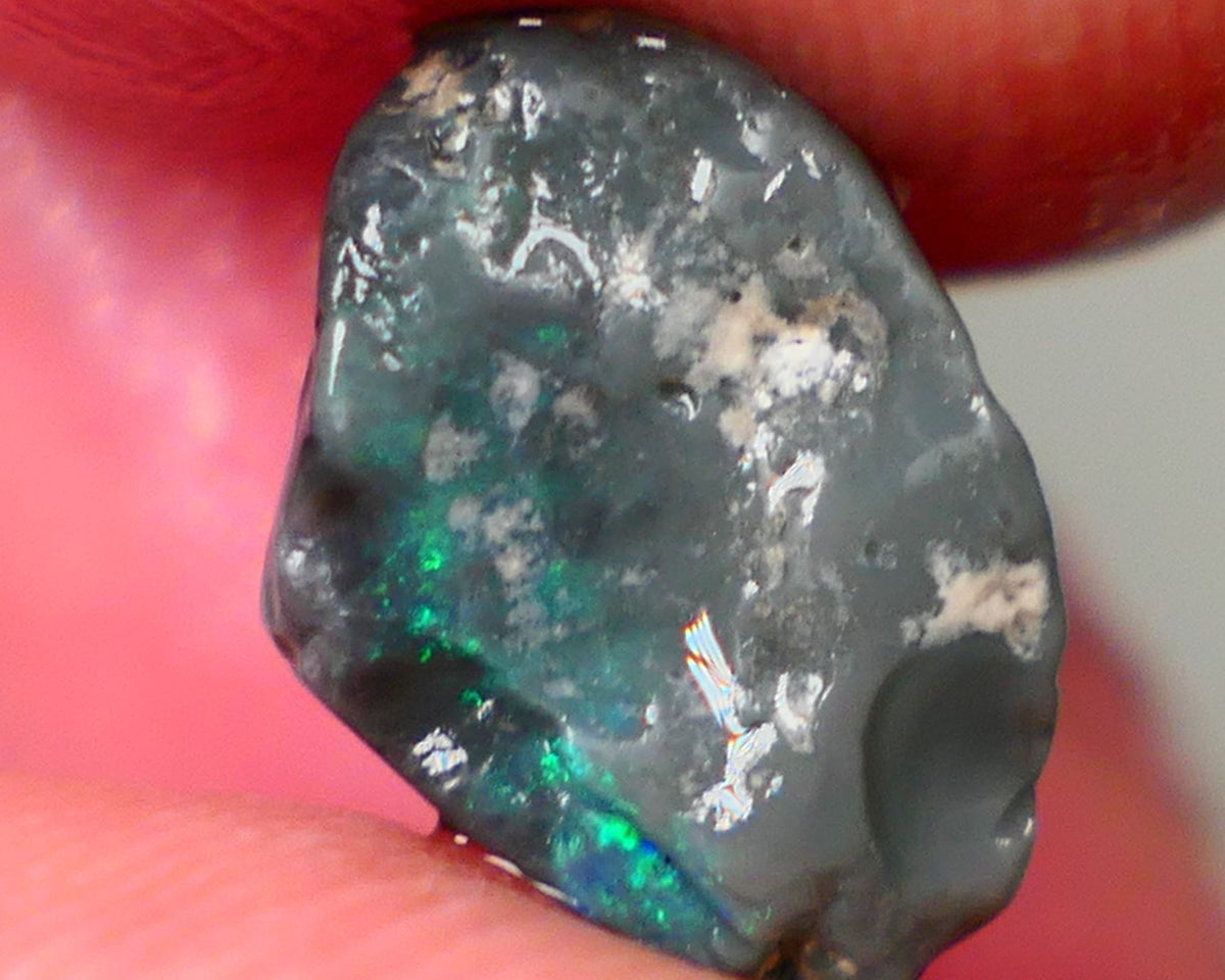 Pea Knobby L/Ridge Rough Black opal 3.20cts small sized but packing a Bright Multicolour bar to chase and explore 13x9x5mm Auction87