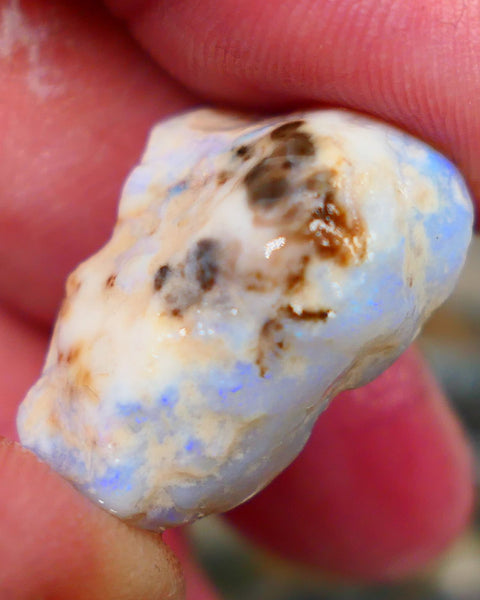 Lightning Ridge Rough Opal 26.00cts Light Base Gamble Knobby formation Light blue fires 25x16x11mm Auction104