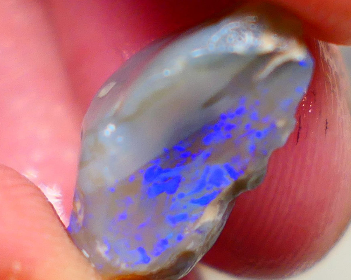 Gorgeous L/Ridge Crystal on Dark base Knobby Rough Opal 9.50cts Loaded with Bright Blue fires to cut 18x11x8mm Auction98