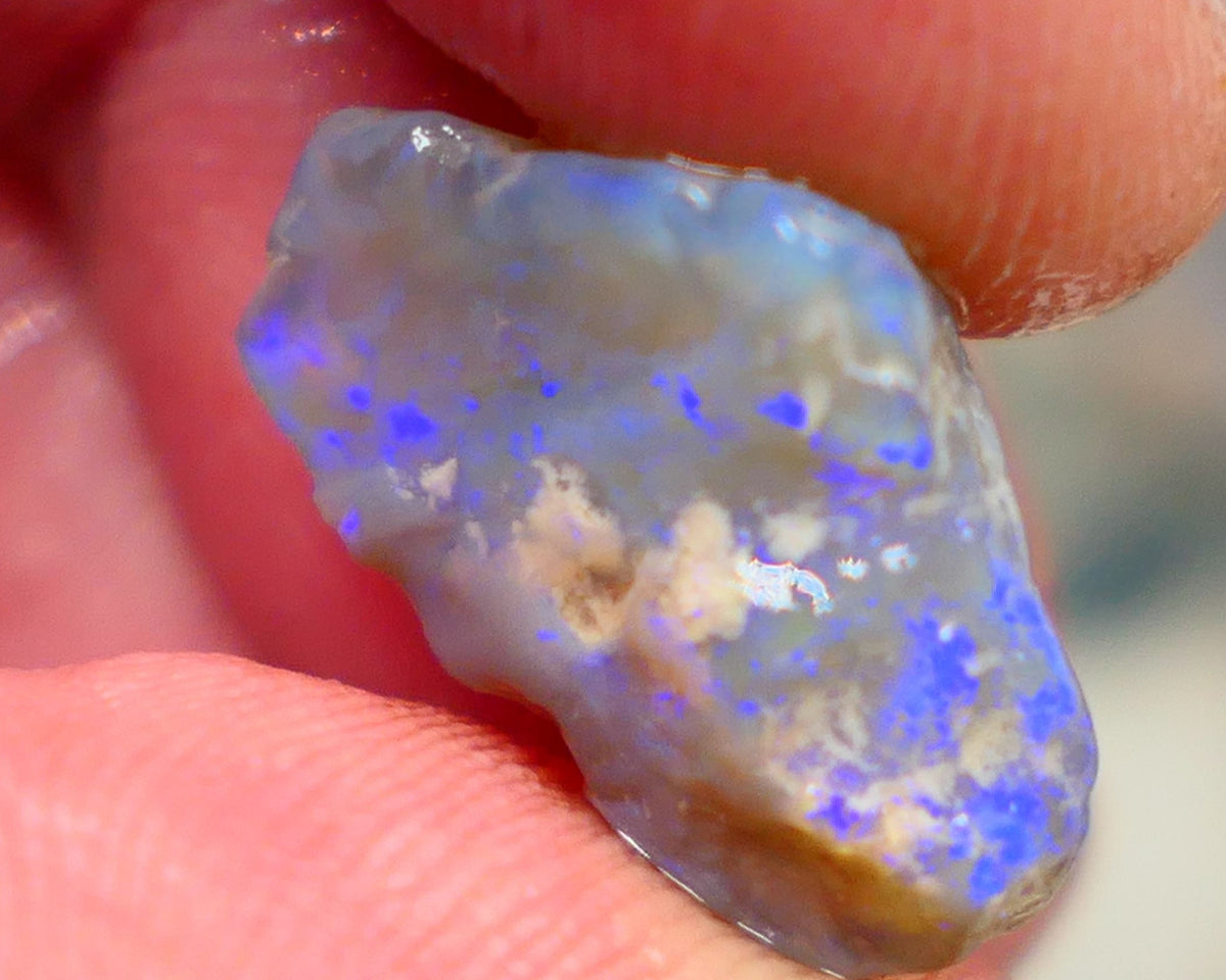 Gorgeous L/Ridge Crystal on Dark base Knobby Rough Opal 9.50cts Loaded with Bright Blue fires to cut 18x11x8mm Auction98