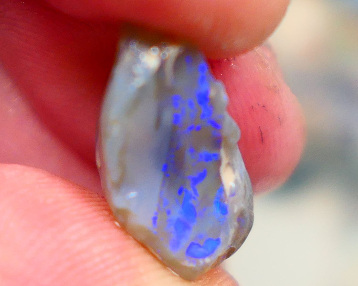 Gorgeous L/Ridge Crystal on Dark base Knobby Rough Opal 9.50cts Loaded with Bright Blue fires to cut 18x11x8mm Auction98