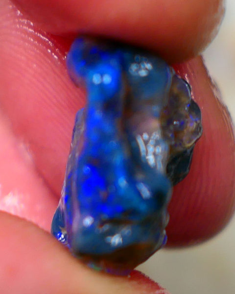 Lightning Ridge Rough Black Knobby opal fresh from the wash 9.00cts Showing Bright & Vibrant Blue fires 17x10x8mm Auction128