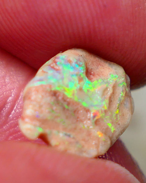 Lightning Ridge Rough Small knobby formation opal rough 3.25cts Bling Ding Dong Yellow dominant fires  popping 14x11x3mm Auction127