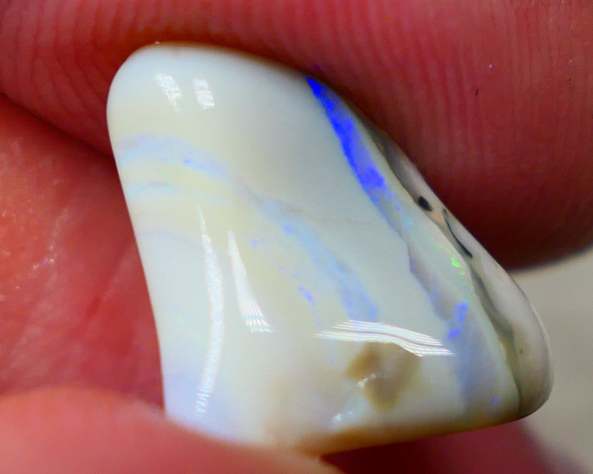 Lightning Ridge Rough Seam opal fresh from the wash 5.5cts Showing a Bright blue bar to chase 15x12x7mm Auction122