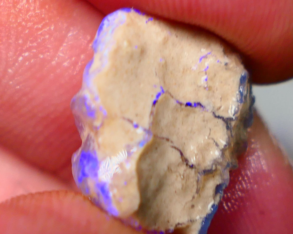 Lightning Ridge Untouched Crystal Knobby opal 8.15cts Vivid Vibrant Electric BLues showing through out suit being carved 17x15x5mm Auction155