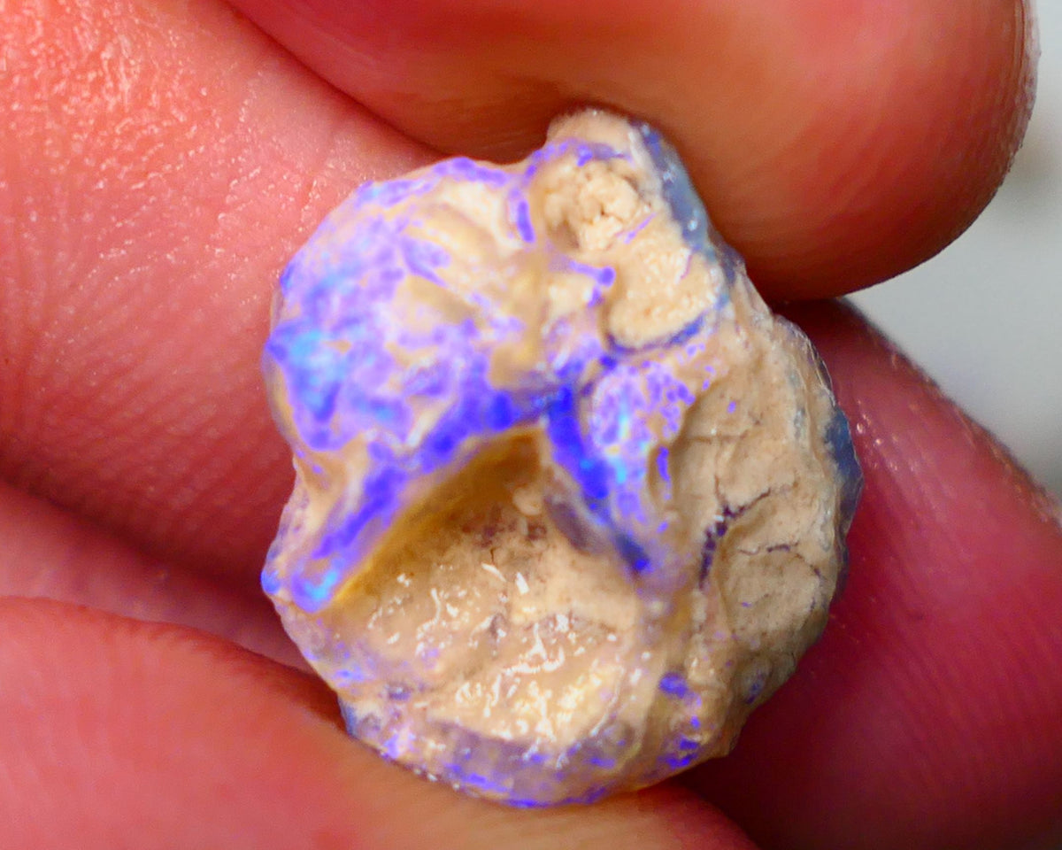 Lightning Ridge Untouched Crystal Knobby opal 8.15cts Vivid Vibrant Electric BLues showing through out suit being carved 17x15x5mm Auction155