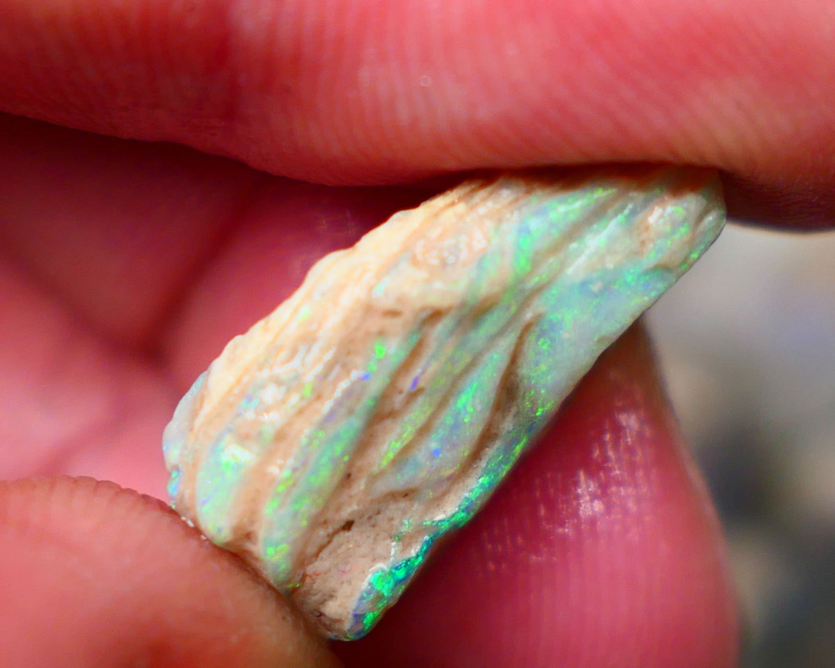 Lightning Ridge Stacked/layer opal formation rough 12.00cts Lots of Nice Multicolour on display here who wants to gamble or collect ? 22x13x7mm Auction152