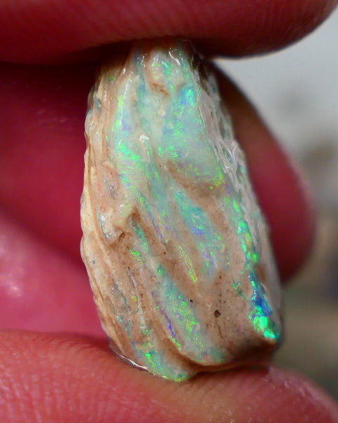 Lightning Ridge Stacked/layer opal formation rough 12.00cts Lots of Nice Multicolour on display here who wants to gamble or collect ? 22x13x7mm Auction152