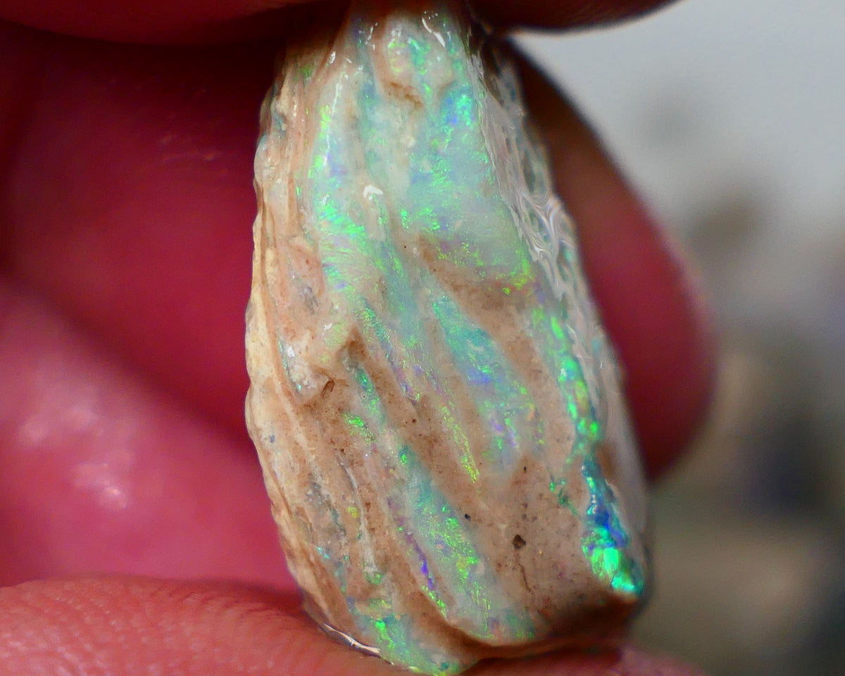 Lightning Ridge Stacked/layer opal formation rough 12.00cts Lots of Nice Multicolour on display here who wants to gamble or collect ? 22x13x7mm Auction152