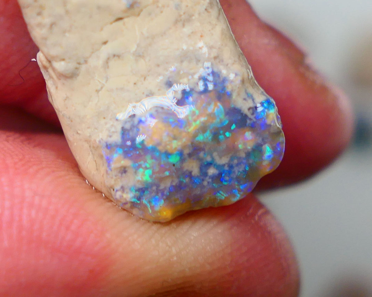 Lightning Ridge Dark Base Crystal knobby opal formation rough 13.50cts Showing nice Blue/green tones of colour 30x12x7mm Auction150