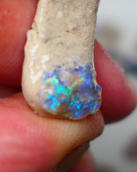 Lightning Ridge Dark Base Crystal knobby opal formation rough 13.50cts Showing nice Blue/green tones of colour 30x12x7mm Auction150