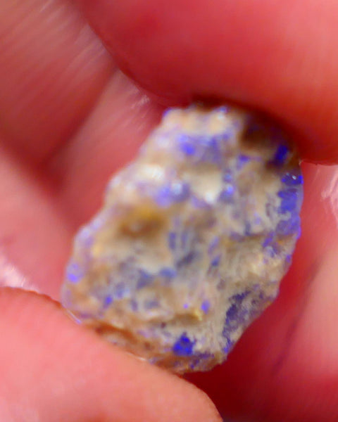 Crystal base untouched knobby opal rough 6.25cts Showing Bright blues through the skin to gamble 16x14x5mm Auction166