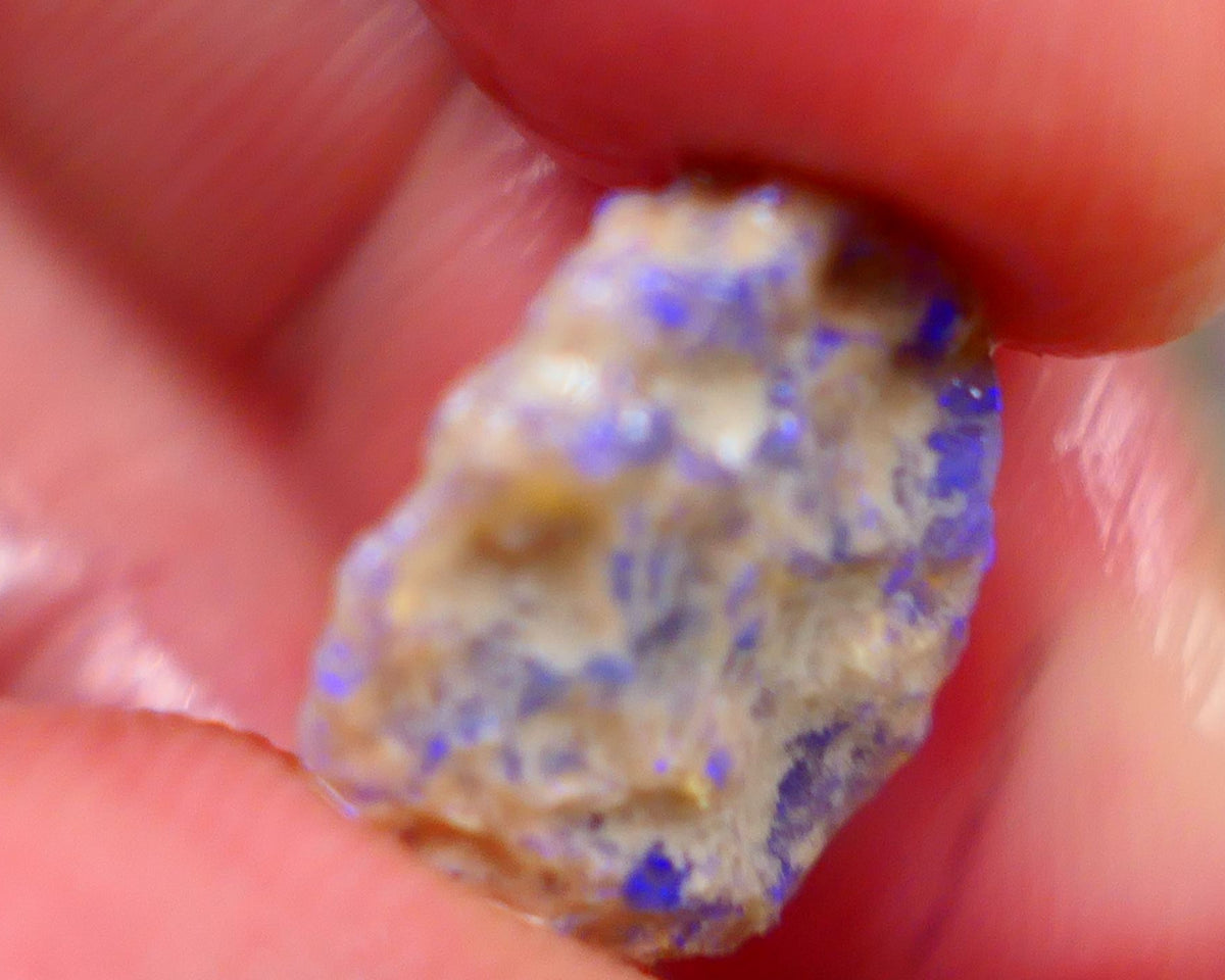 Crystal base untouched knobby opal rough 6.25cts Showing Bright blues through the skin to gamble 16x14x5mm Auction166