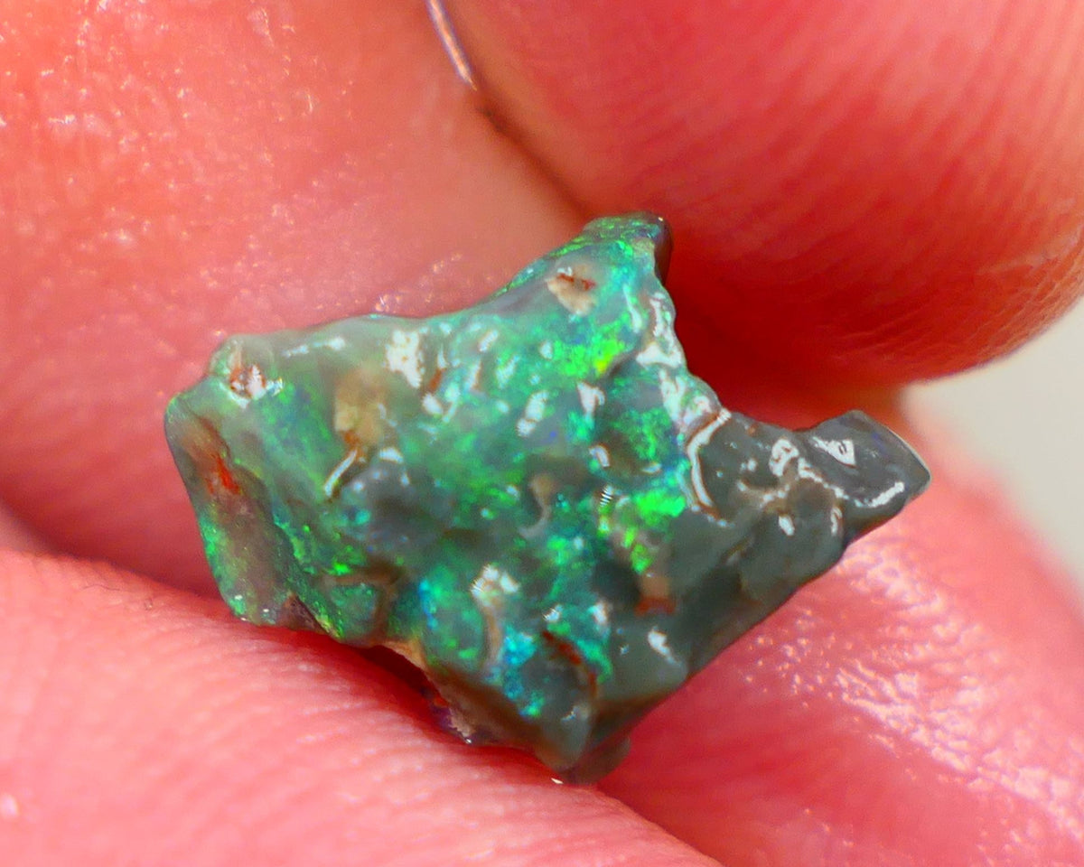 Millions of years in the Making a L/Ridge Opalised wood fossil untouched 2.50cts Gorgeous Bright Green dominant M.fires sat on dark base 11x10x3.5mm Auction163