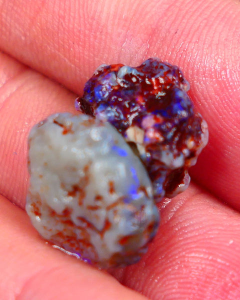 Lightning Ridge Rough Dark Base knobby opal rough pair 10.50cts Both displaying Bright blue fires to gamble 15x10x6mm & 13x10x8mm Auciton162