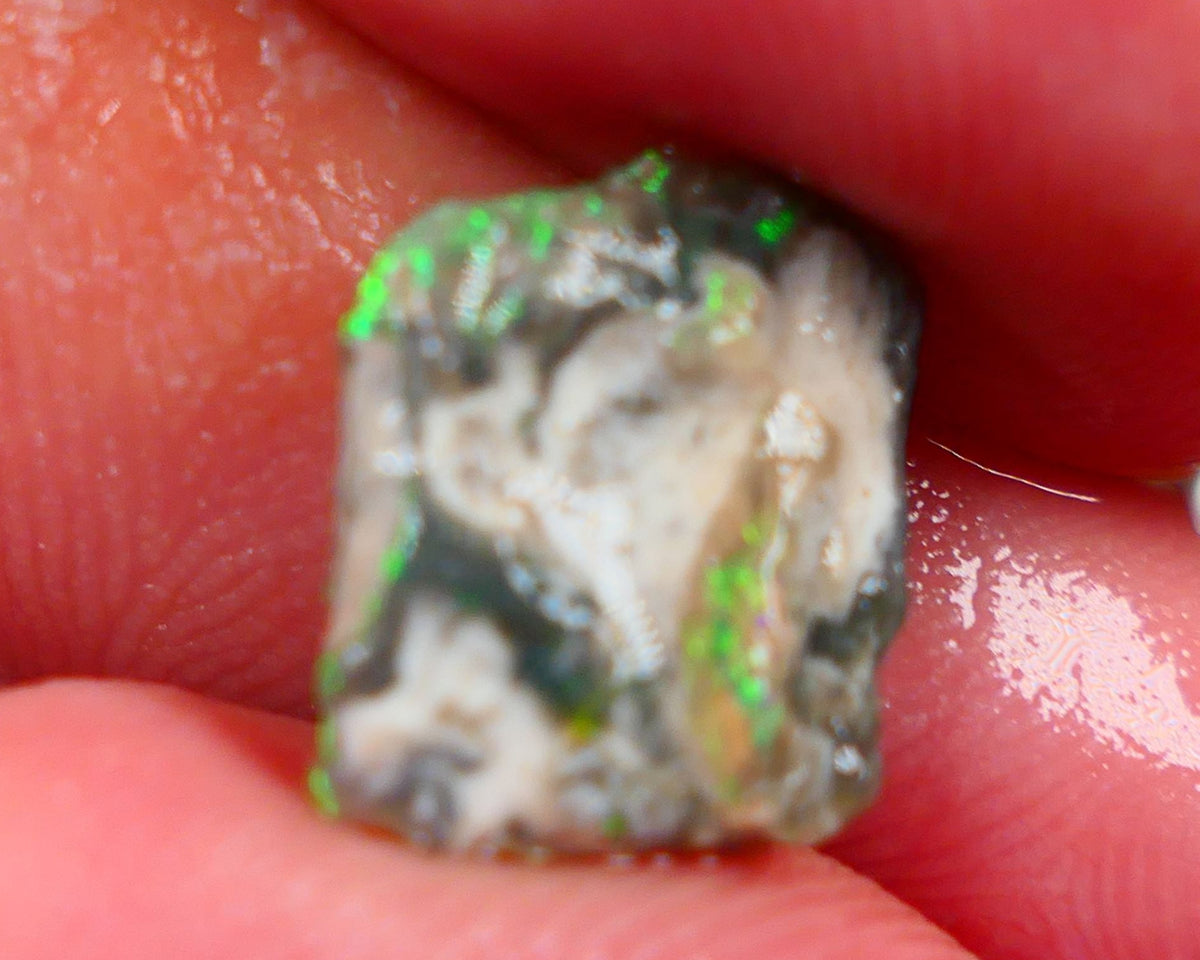 Millions of years in the Making a Lightning Ridge Opalised wood fossil untouched 2.70cts Bright Yellow/Green dominant M.fires sat on dark base 12x11x4mm Auction161