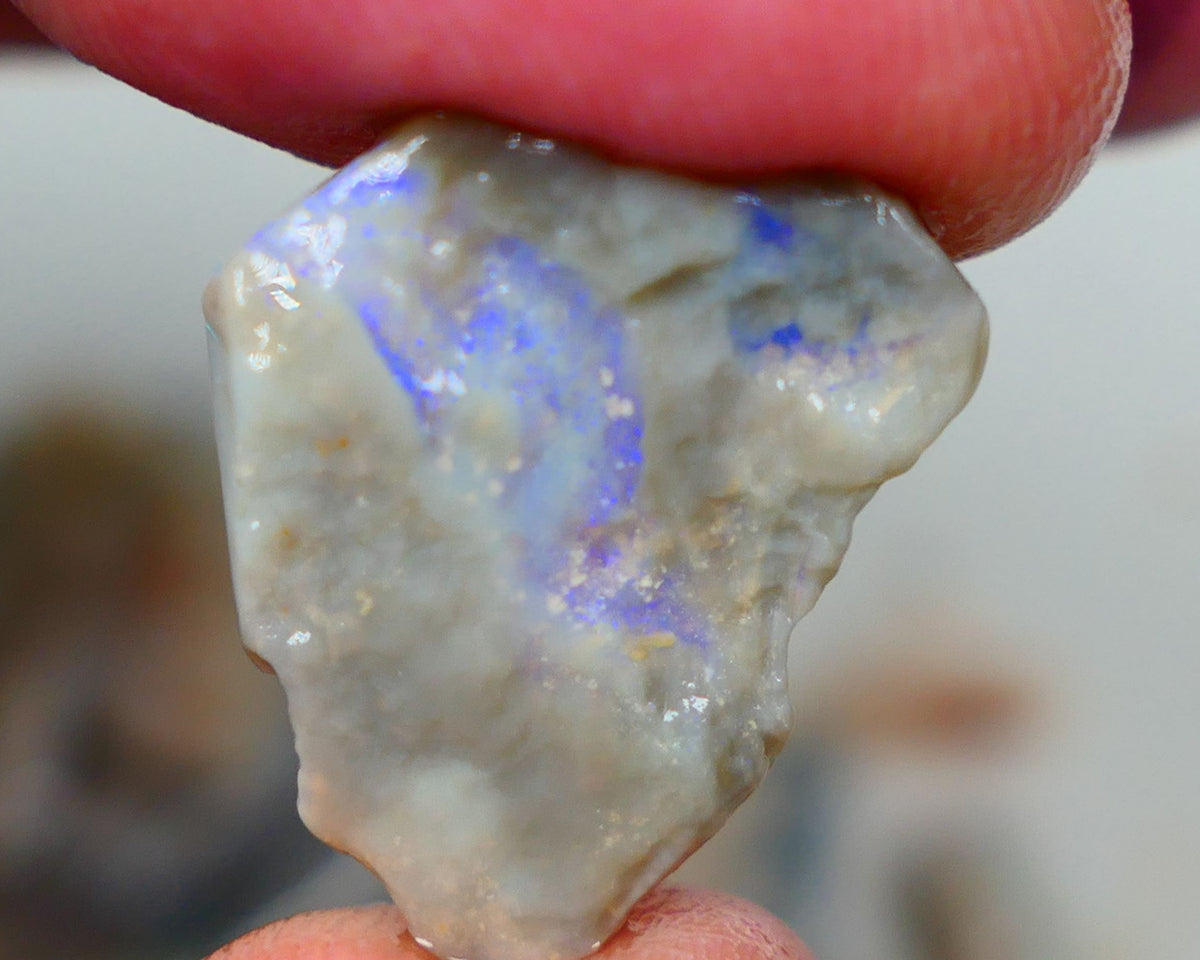 Mintabie Dark base seam opal rough 8.75cts Showing Bright blues throughout 21x18x5mm Auction194