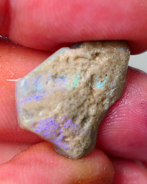 Mintabie Dark base seam opal rough 8.75cts Showing Bright blues throughout 21x18x5mm Auction194