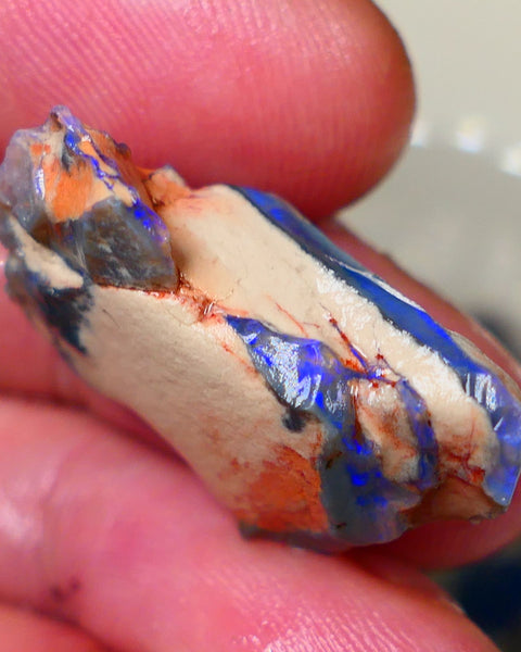 Lightning Ridge Dark base seam opal fresh from the mine walls 21.00cts Gorgeous Blue fires 29x17x11mm Auction179