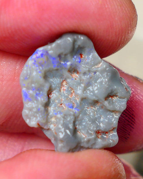 Lightning Ridge Dark base Witches hat knobby opal rough 10.50cts Bright Blue colours to gamble and explore 20x18x7mm Auction182