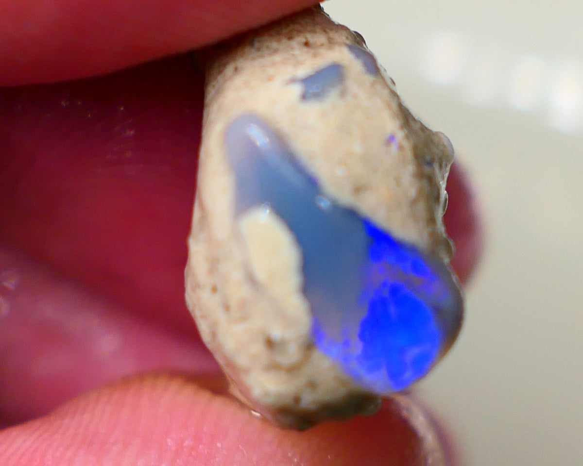 Lightning Ridge Amazing unique Seam opal formation rough 20.00cts Wow Amazing combination of various opal formations in one. Bright Multicolours 21x20x10mm Auciton184